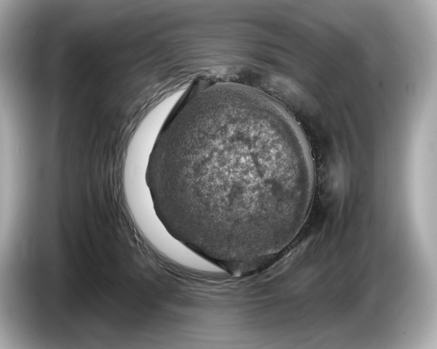 X0000087010416200704301421