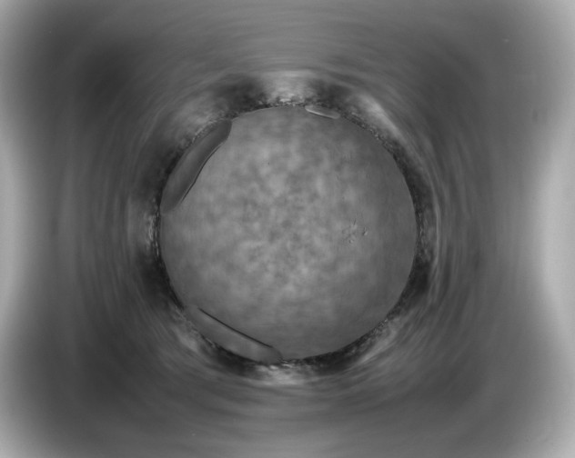 X0000087010417200704301421