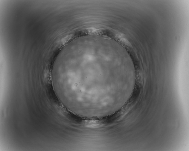 X0000087010419200704301421