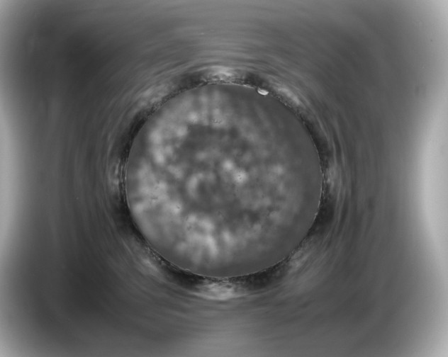 X0000087010423200704301421