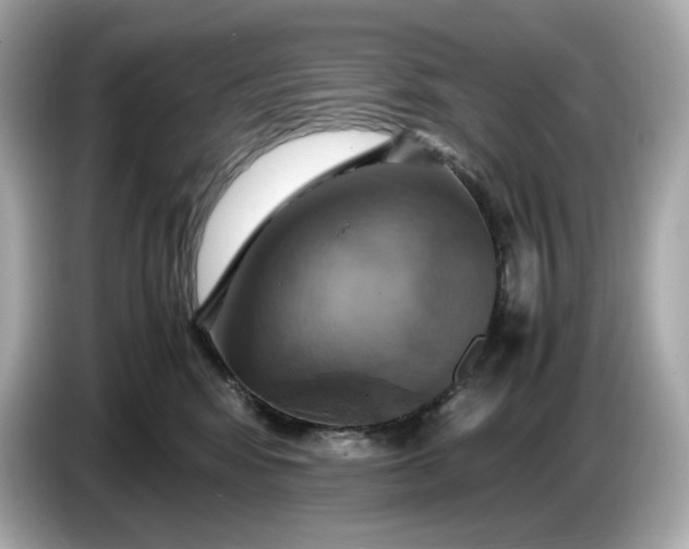 X0000087010424200704301421