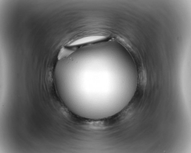 X0000087010426200704301421