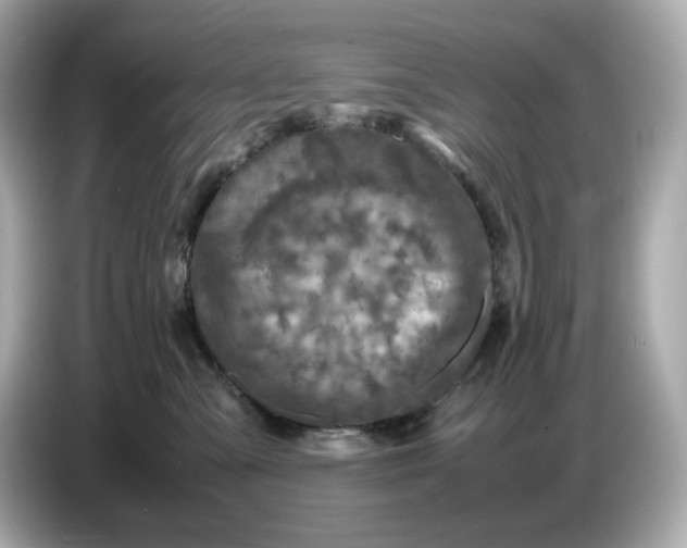 X0000087010427200704301421