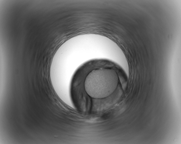 X0000087010428200704301421