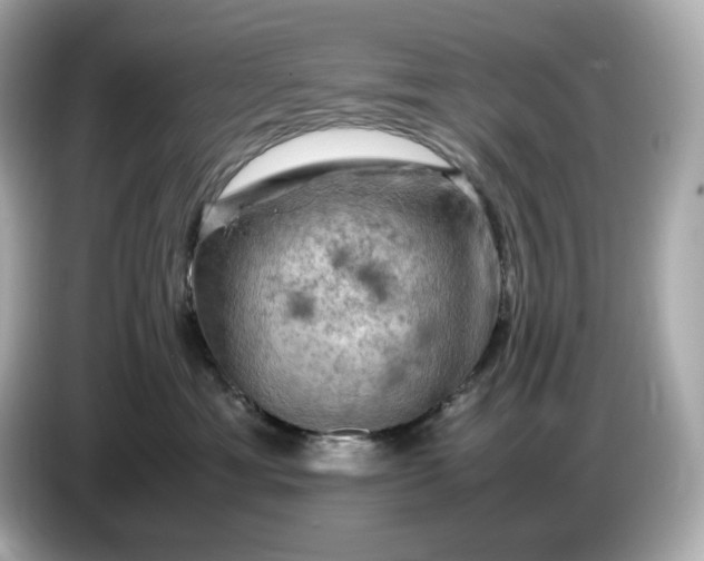 X0000087010429200704301421