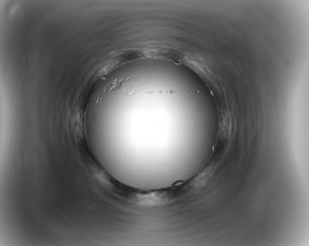 X0000087010430200704301421