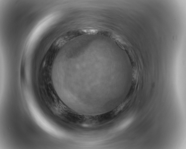 X0000087010431200704301421