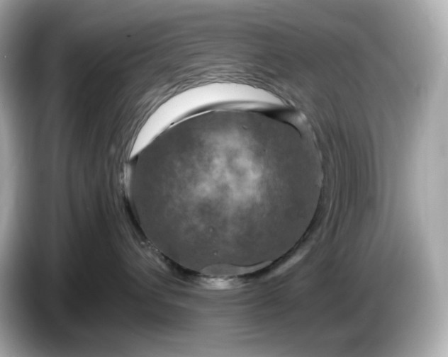 X0000087010432200704301421