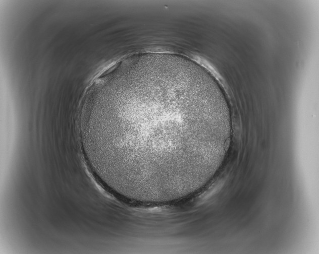 X0000087010433200704301421