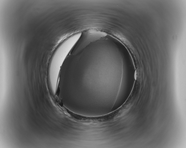 X0000087010434200704301421