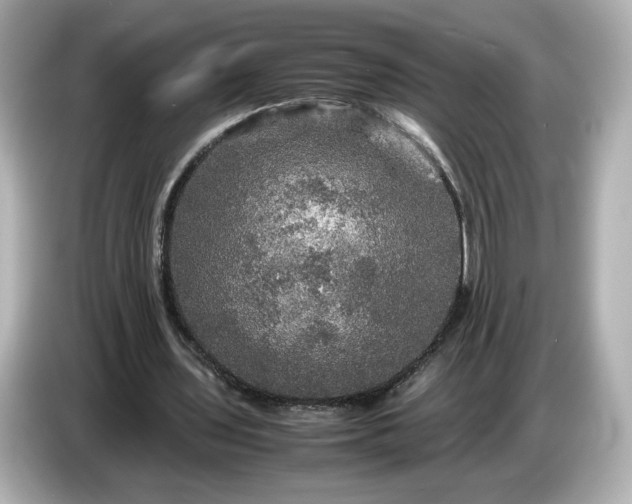 X0000087010435200704301421