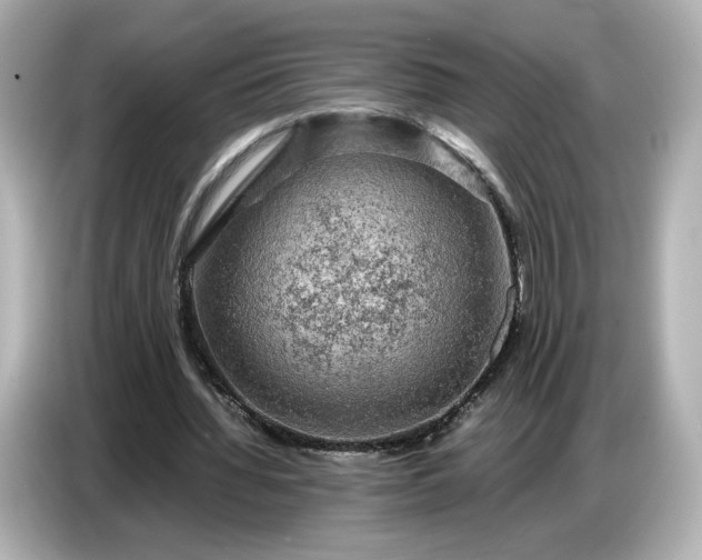 X0000087010436200704301421