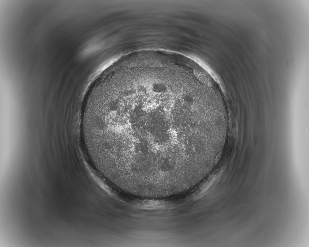 X0000087010437200704301421