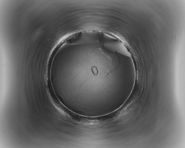 X0000087010438200704301421