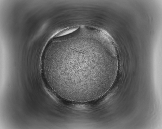 X0000087010439200704301421