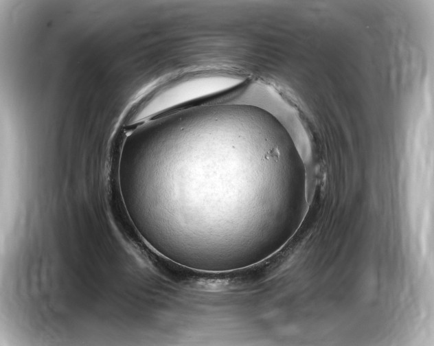 X0000087010440200704301421