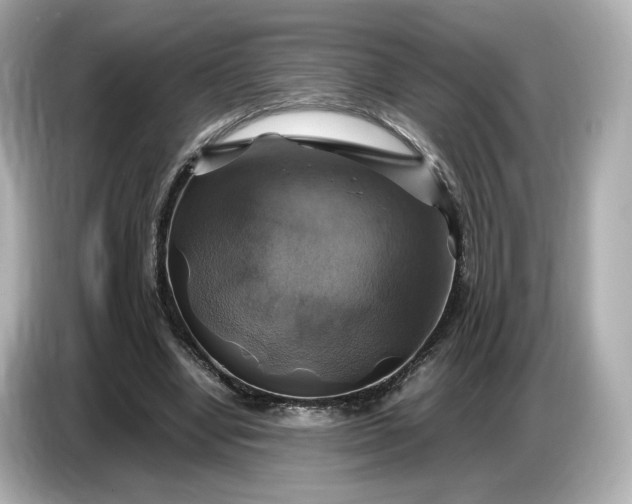 X0000087010442200704301421