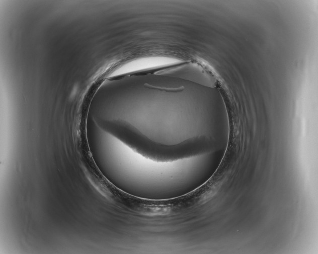 X0000087010443200704301421