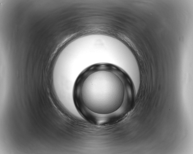 X0000087010444200704301421