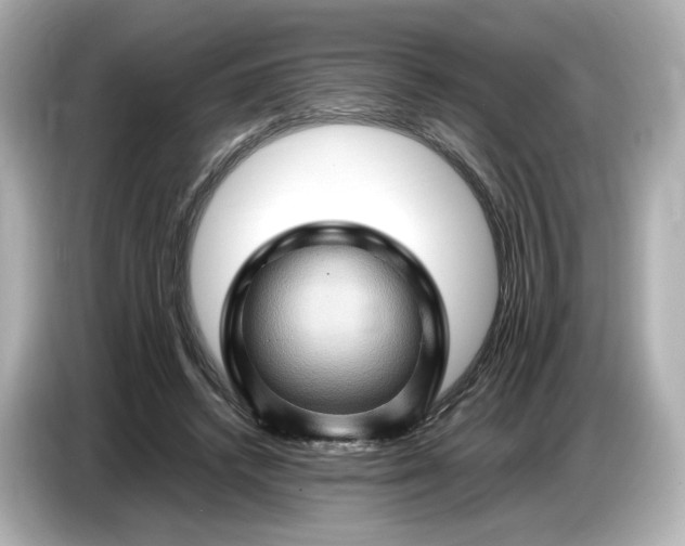 X0000087010448200704301421