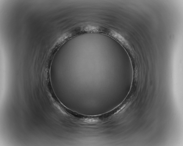 X0000087010449200704301421