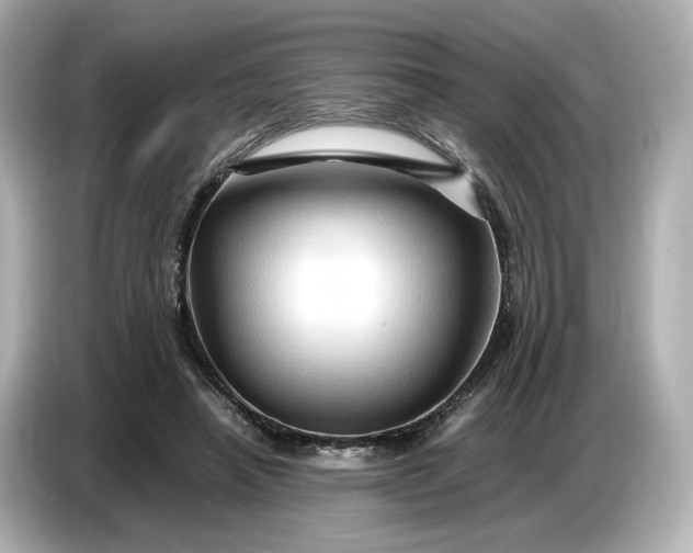 X0000087010450200704301421