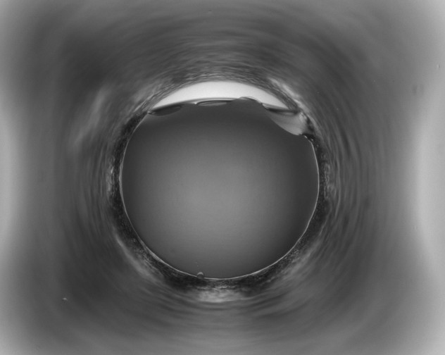 X0000087010451200704301421