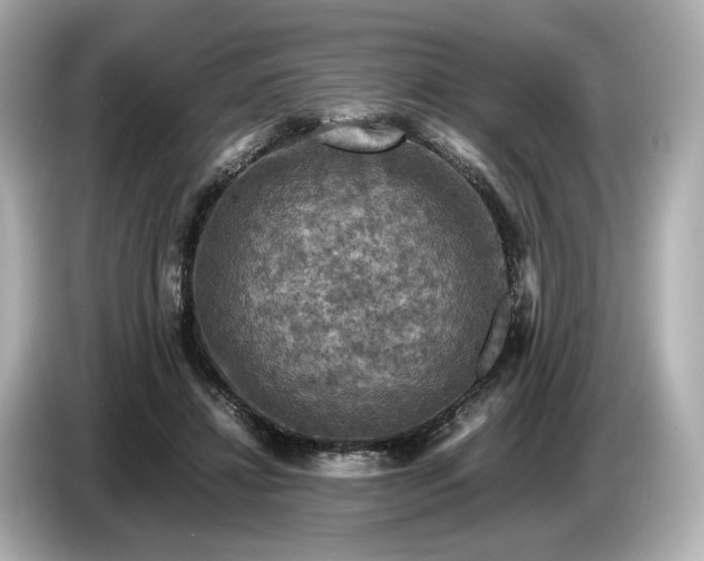 X0000087010452200704301421