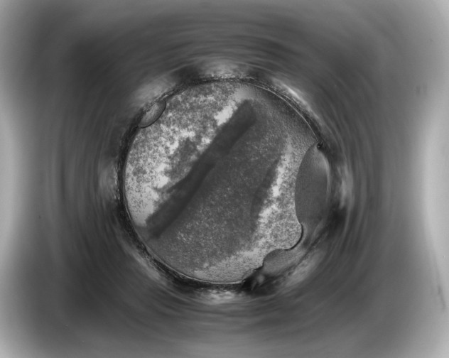 X0000087010453200704301421