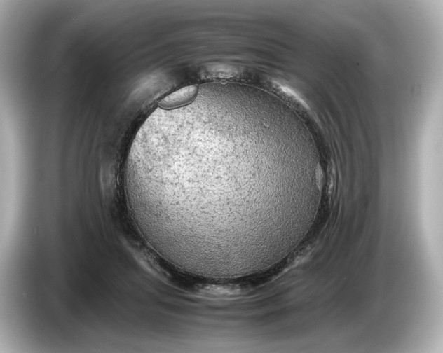 X0000087010455200704301421