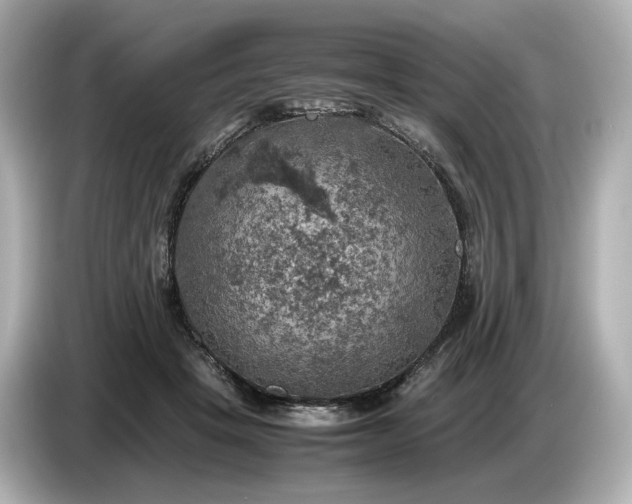 X0000087010457200704301421