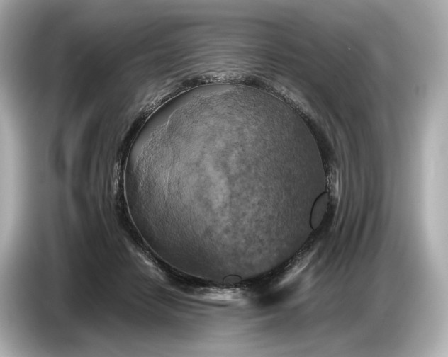 X0000087010458200704301421