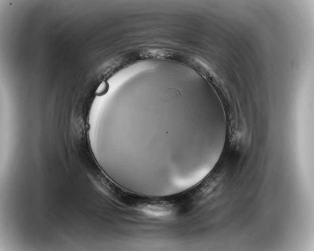 X0000087010459200704301421