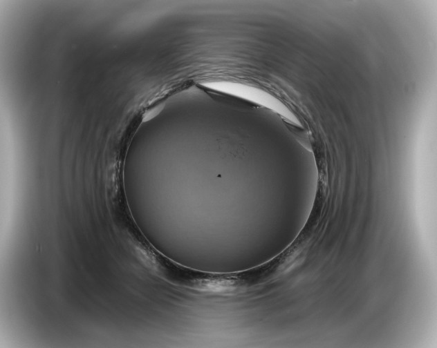 X0000087010462200704301421