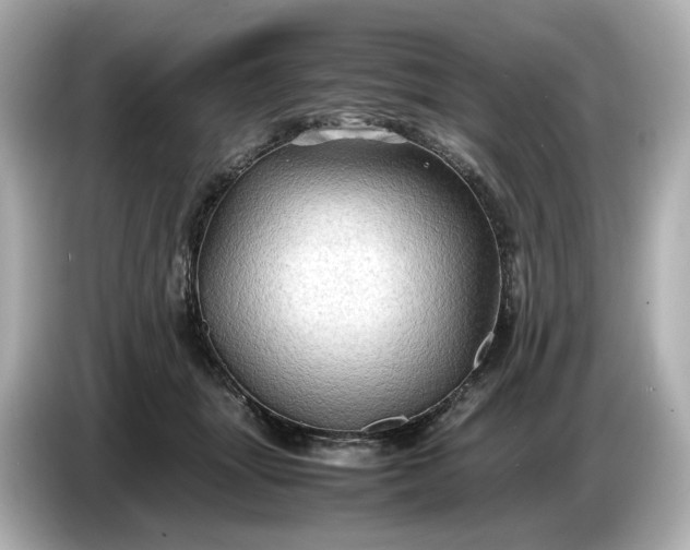 X0000087010463200704301421