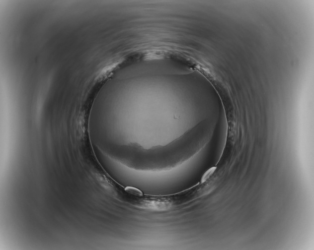 X0000087010466200704301421