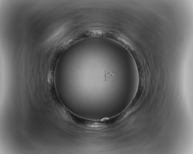 X0000087010467200704301421