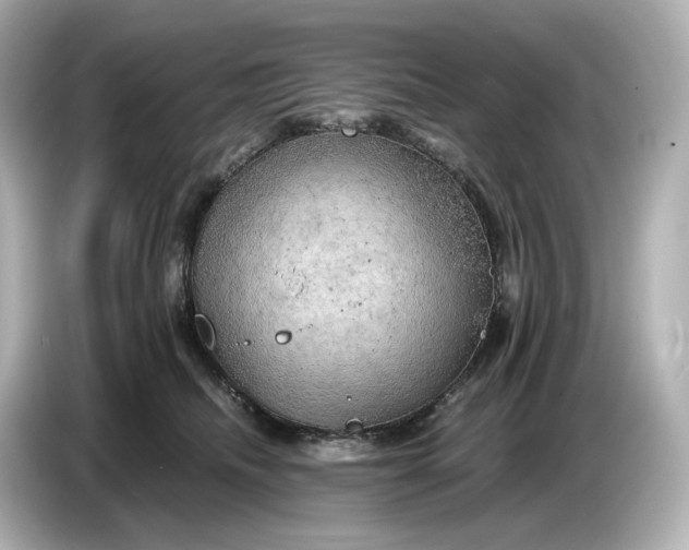 X0000087010468200704301421