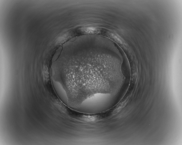 X0000087010469200704301421