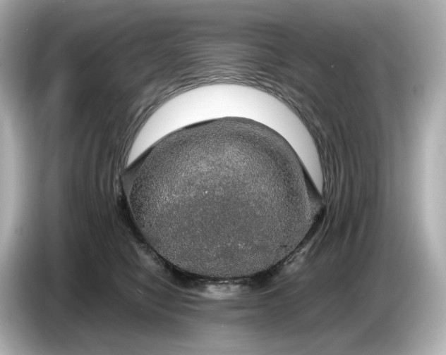 X0000087010470200704301421