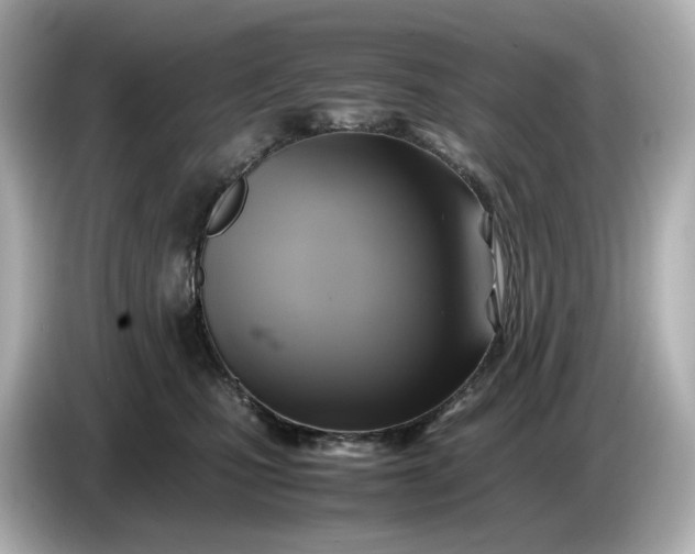 X0000087010471200704301421