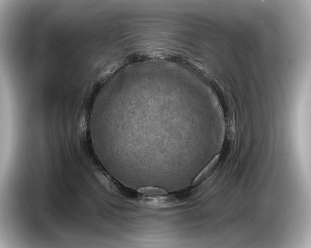 X0000087010472200704301421