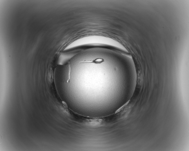 X0000087010474200704301421