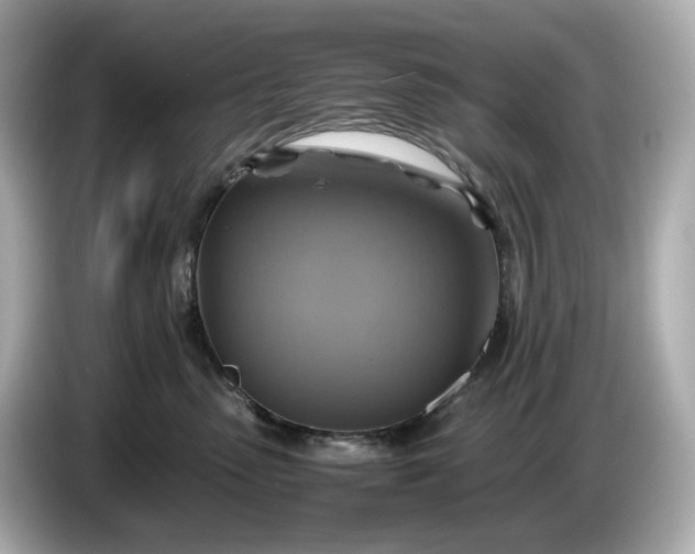 X0000087010475200704301421