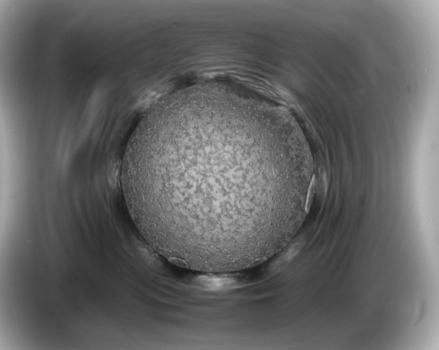 X0000087010477200704301421