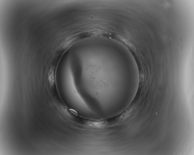 X0000087010479200704301421