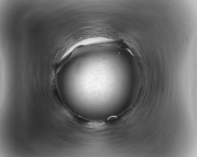 X0000087010480200704301421