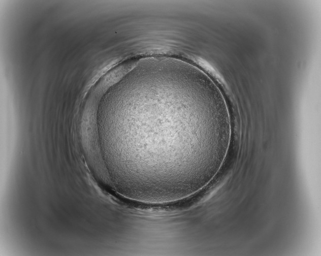 X0000087010481200704301421