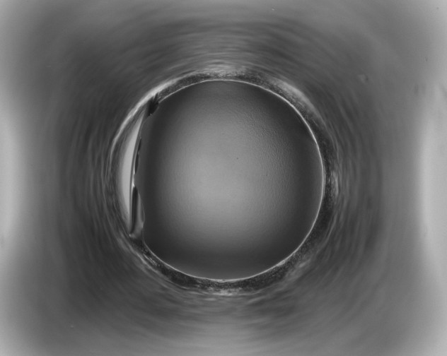 X0000087010484200704301421