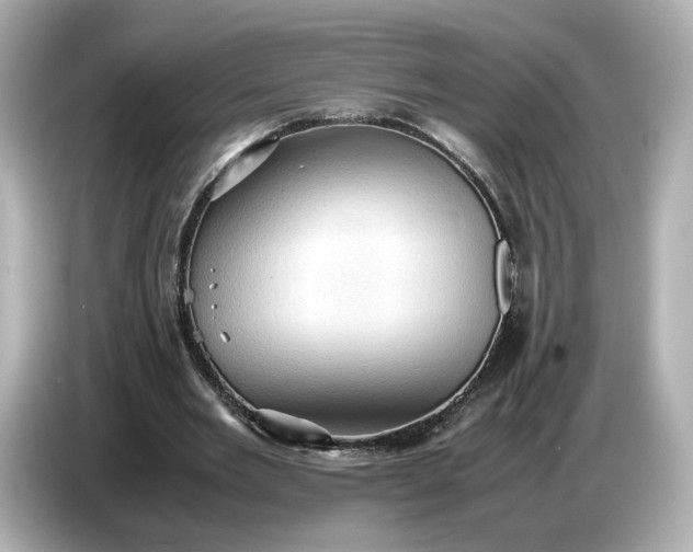 X0000087010485200704301421